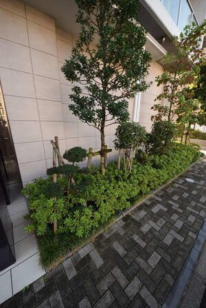 KDXレジデンス大島の物件内観写真